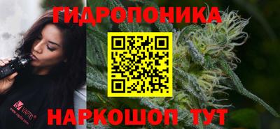 тгк Славгород